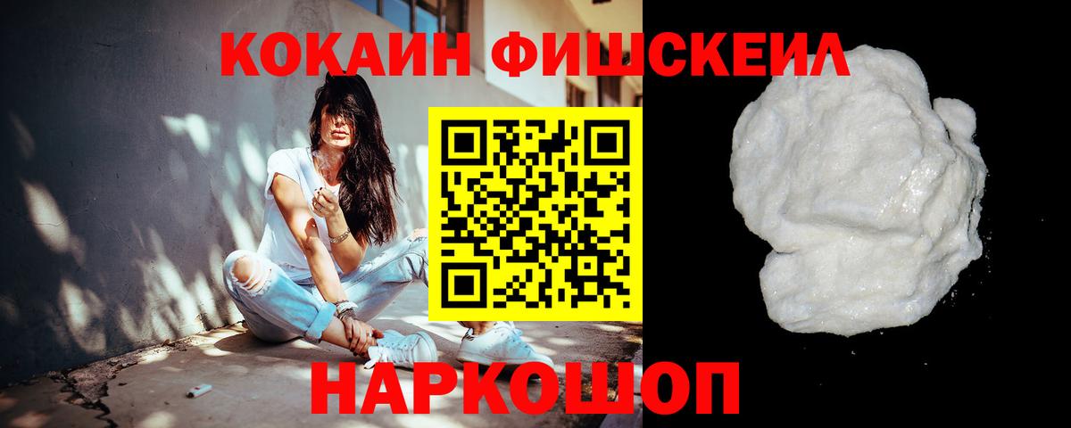 Cocaine Fish Scale  Вход с VPN  COCAIN  Борзя  Cocaine VHQ 