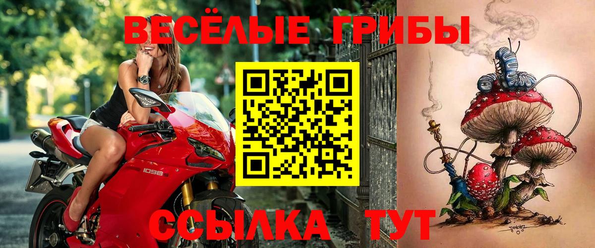 Галлюциногенные грибы Cubensis Борзя
