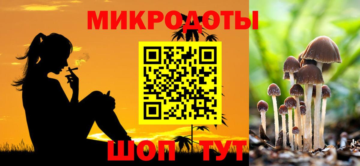 Борзя  Галлюциногенные грибы Psilocybine cubensis  Вход с VPN  Псилоцибиновые грибы прущие грибы 